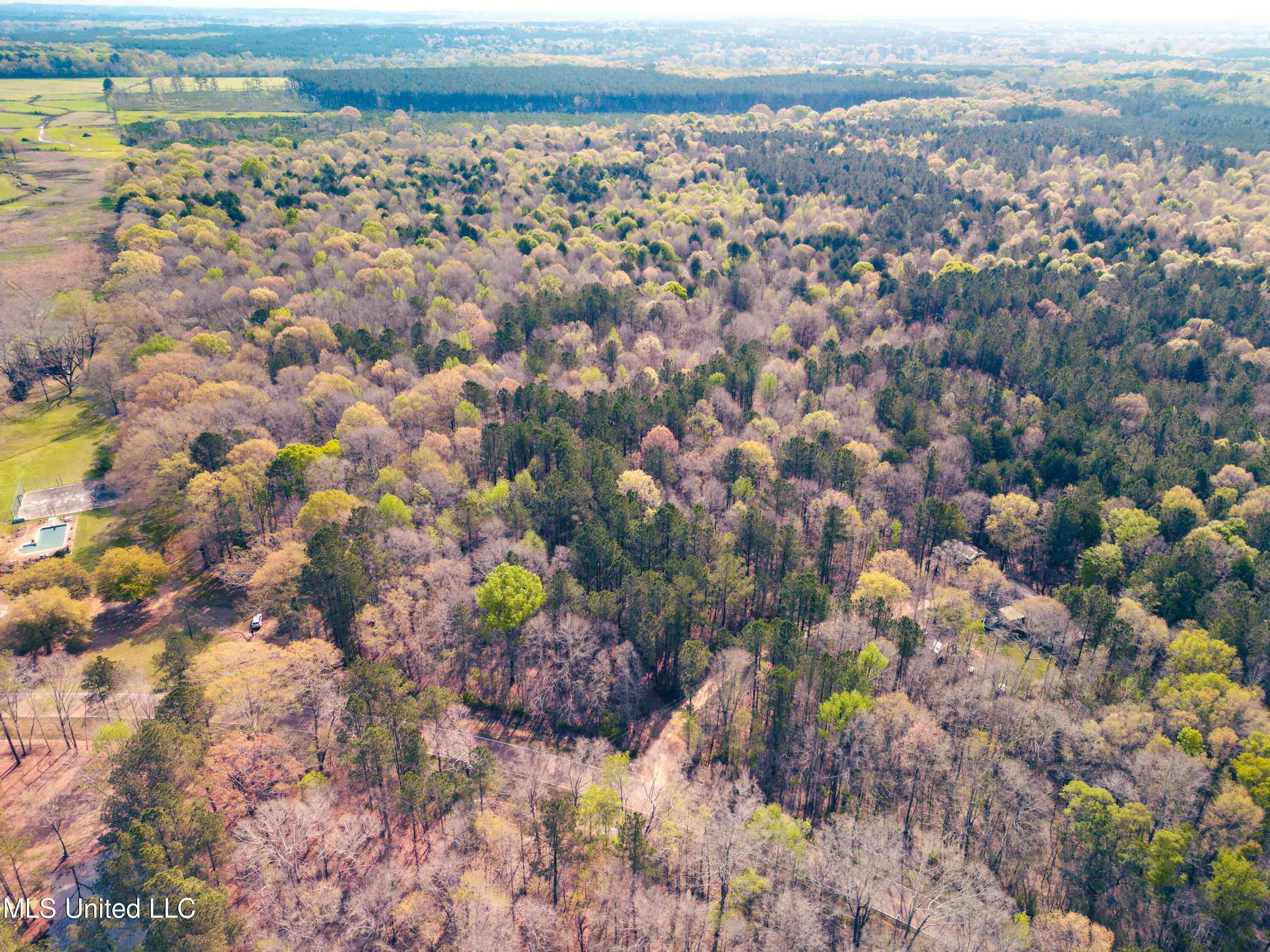 Gabe Holcomb Brandon, MS 39042 - Photo 8 of 19 Gabe_Holcomb_Brandon-6