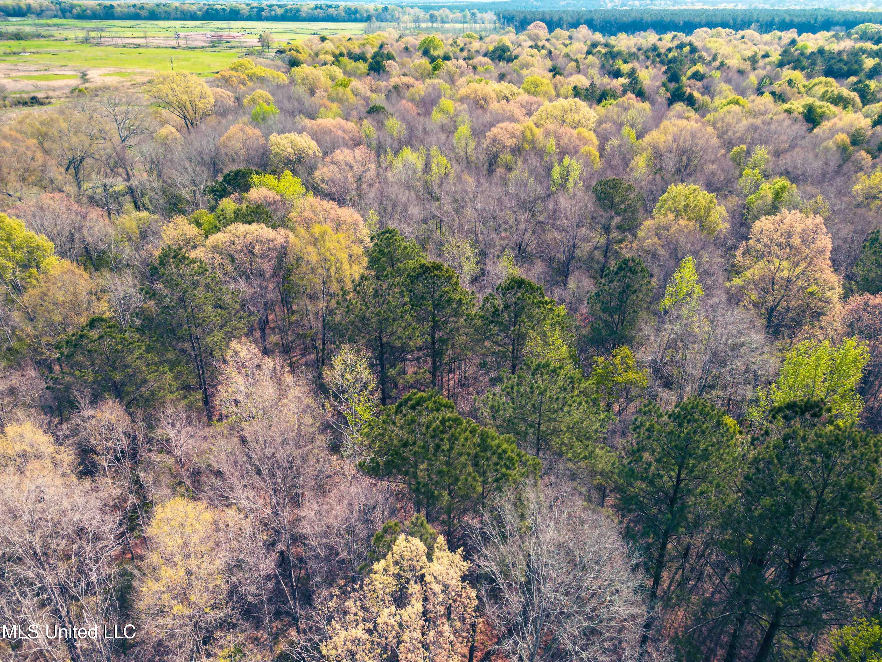 Gabe Holcomb Brandon, MS 39042 - Photo 10 of 19 Gabe_Holcomb_Brandon-8