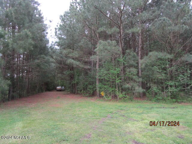 550 Ryland Road Tyner, NC 27980 - Photo 24 of 31 Trail in the woods