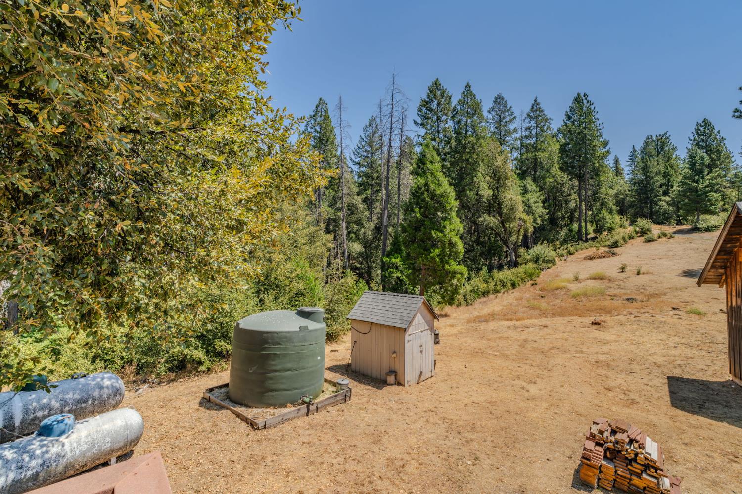 21641 Allan Road Volcano, CA 95689 - Photo 48 of 71 Gallery Image 48