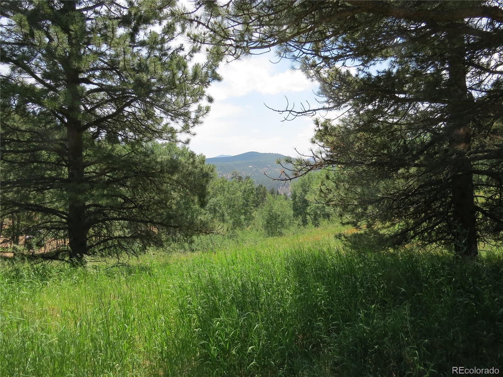 68 Stinky Gulch Road Nederland, CO 80466 - Photo 12 of 29 Gallery Image 12