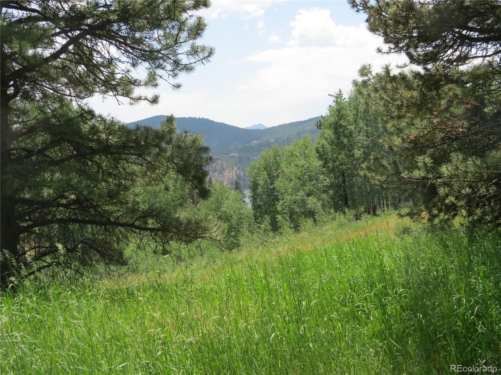 68 Stinky Gulch Road Nederland, CO 80466 - Photo 13 of 29 Gallery Image 13