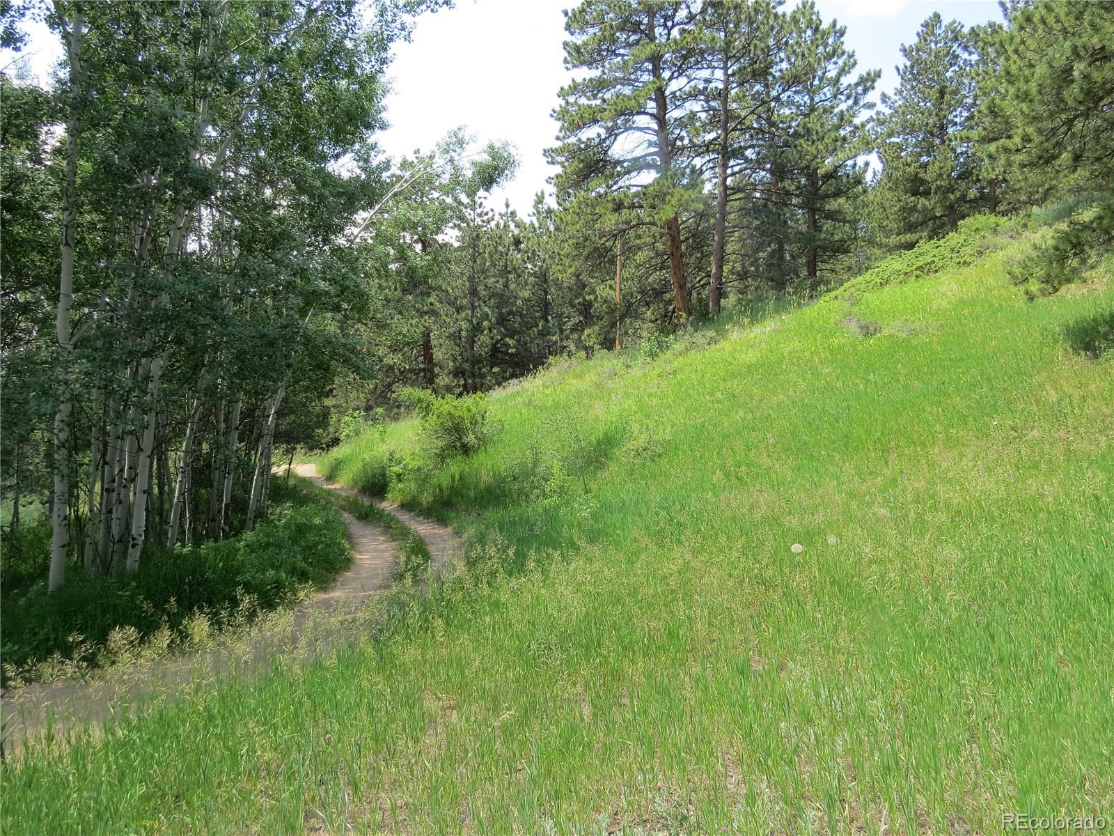 68 Stinky Gulch Road Nederland, CO 80466 - Photo 15 of 29 Gallery Image 15