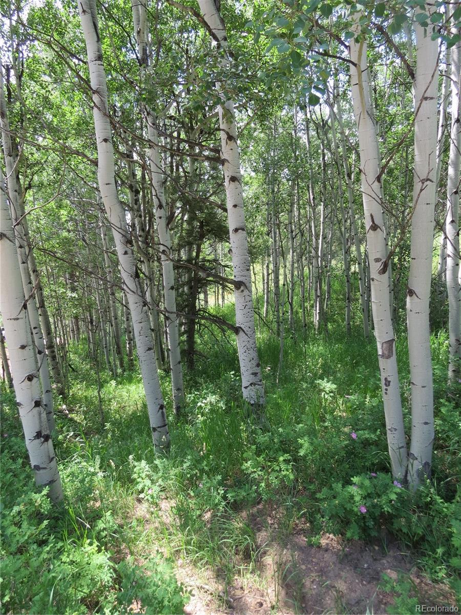 68 Stinky Gulch Road Nederland, CO 80466 - Photo 16 of 29 Gallery Image 16