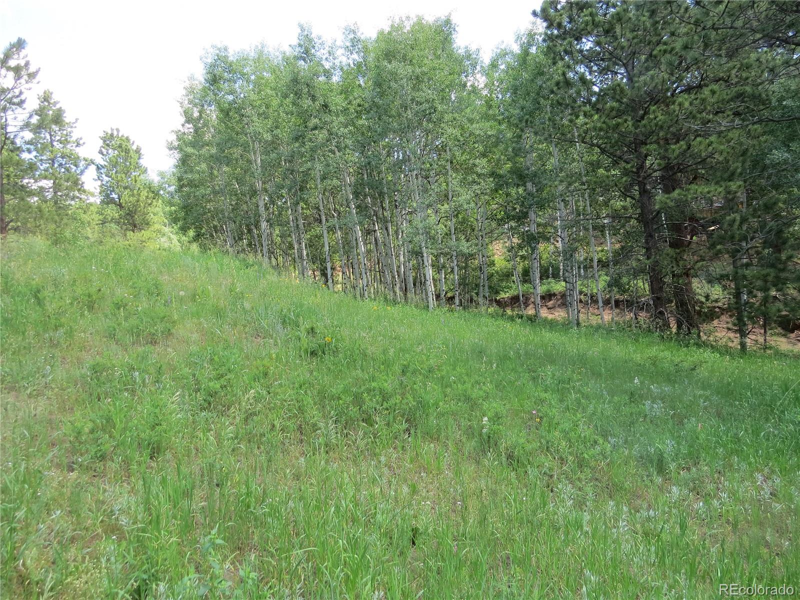 68 Stinky Gulch Road Nederland, CO 80466 - Photo 18 of 29 Gallery Image 18