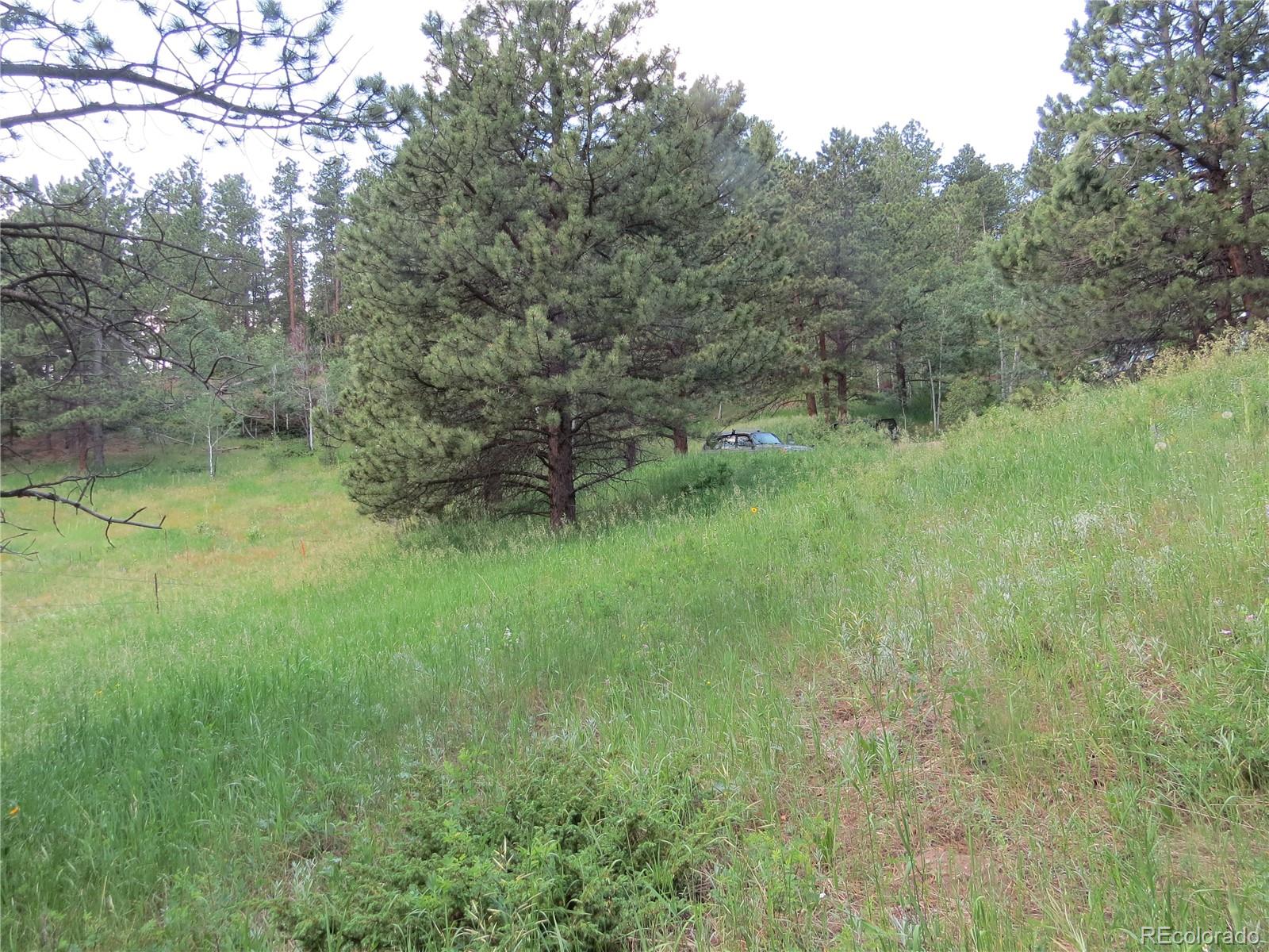 68 Stinky Gulch Road Nederland, CO 80466 - Photo 19 of 29 Gallery Image 19