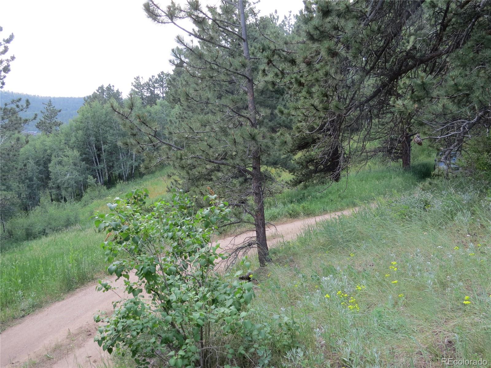 68 Stinky Gulch Road Nederland, CO 80466 - Photo 20 of 29 Gallery Image 20