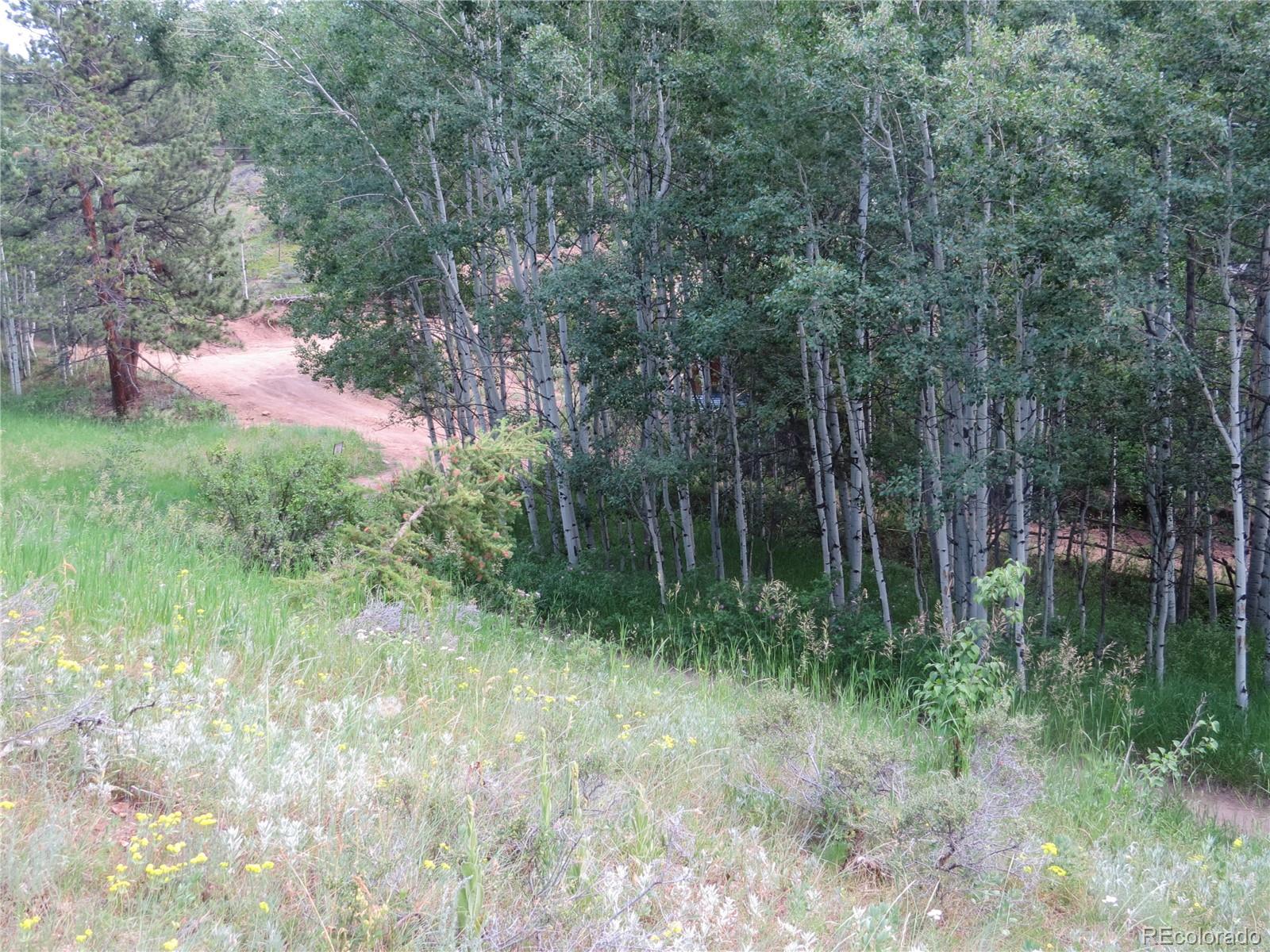 68 Stinky Gulch Road Nederland, CO 80466 - Photo 21 of 29 Gallery Image 21
