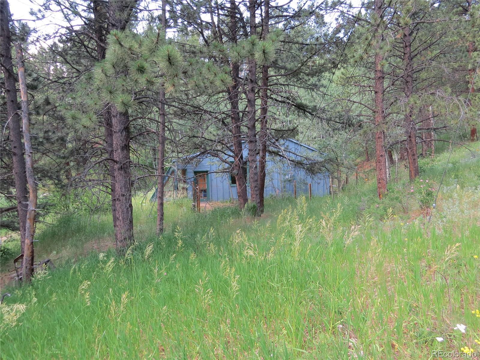 68 Stinky Gulch Road Nederland, CO 80466 - Photo 23 of 29 Gallery Image 23