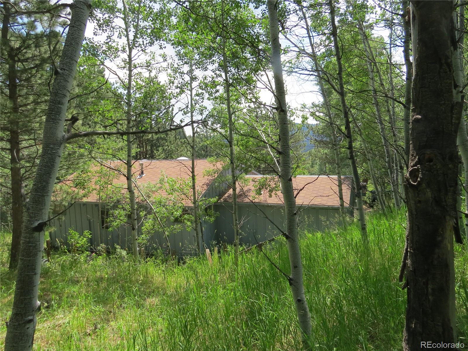 68 Stinky Gulch Road Nederland, CO 80466 - Photo 25 of 29 Gallery Image 25