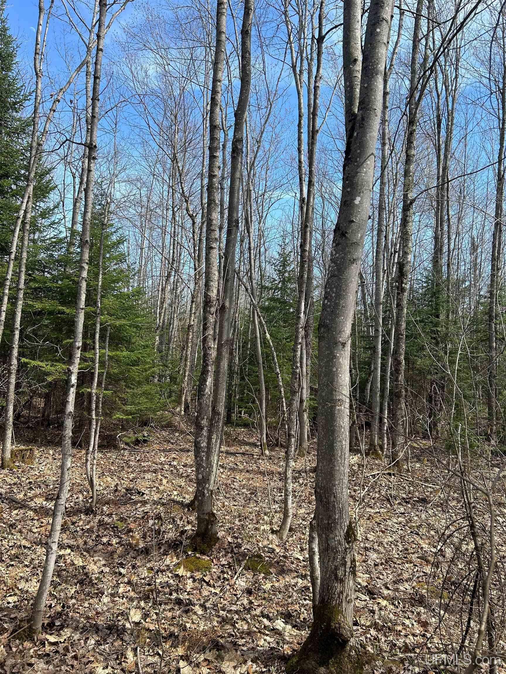 4-10 Firesteel Road Ontonagon, MI 49953 - Photo 5 of 28