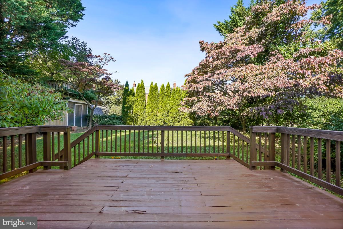 10010 Lorain Avenue Silver Spring, MD 20901 - Photo 10 of 25 Back deck with views of flowering trees