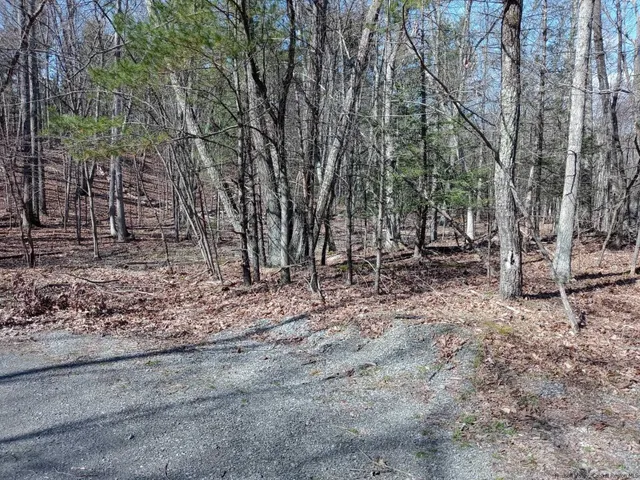 $109,000 | 0 Gladys Lane, Unit OFF BAND CAMP CIRCLE, Saugerties, NY 12477