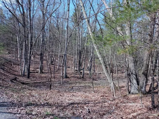 $109,000 | 0 Gladys Lane, Unit OFF BAND CAMP CIRCLE, Saugerties, NY 12477