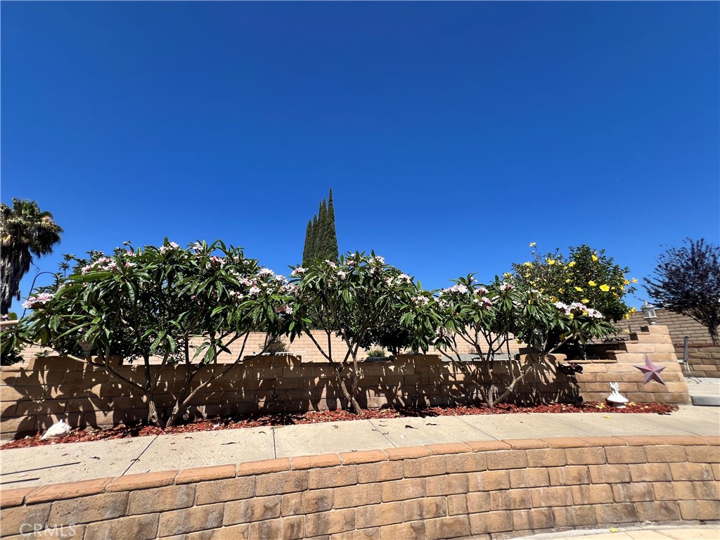 11010 Kayjay Street Riverside, CA 92503 - Photo 39 of 52 Plumerias