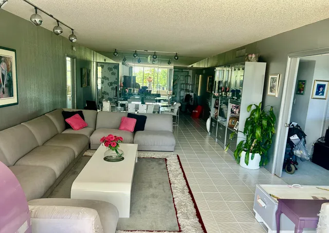 a living room with furniture and a potted plant