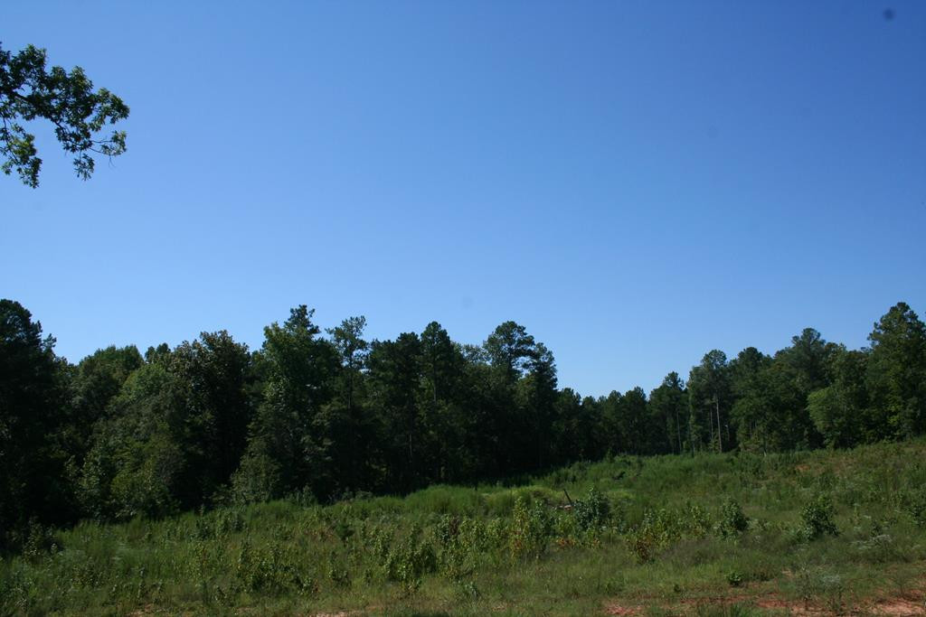 Lot E Dozier Road Appling, GA 30802 - Photo 1 of 3 Main View
