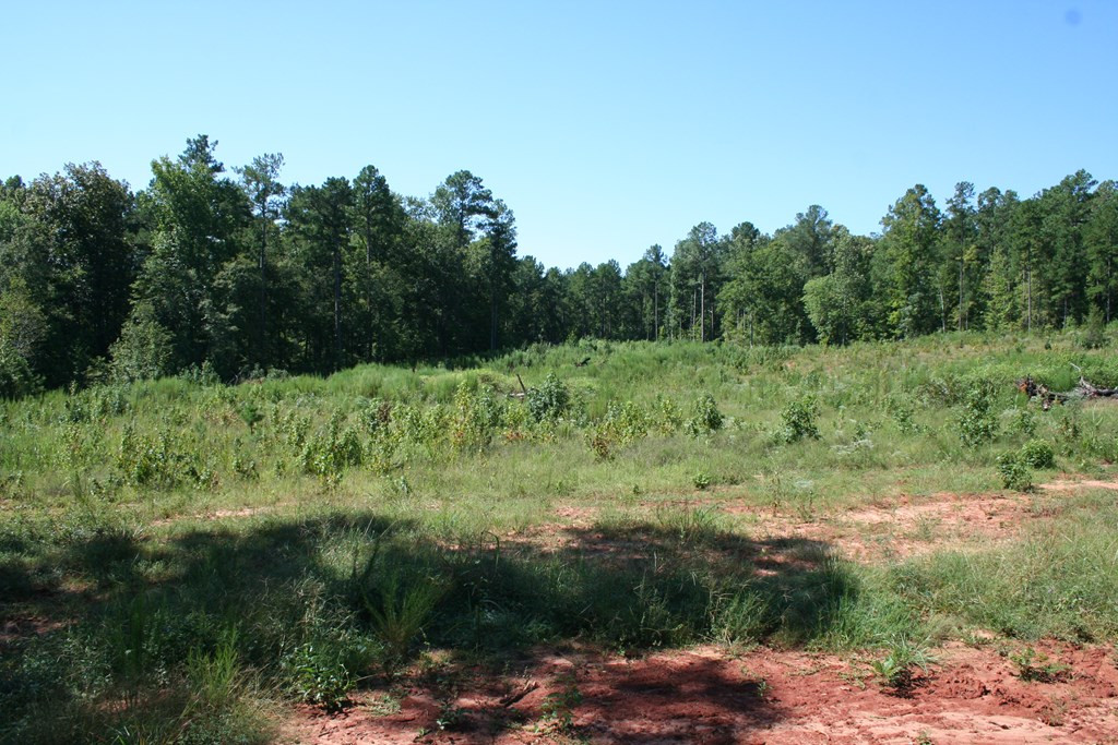 Lot E Dozier Road Appling, GA 30802 - Photo 2 of 3