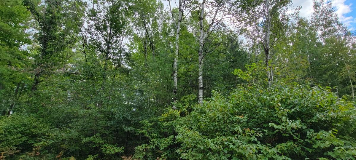 On Jenny Lake Road Tomahawk, WI 54487 - Photo 7 of 8 Gallery Image 7