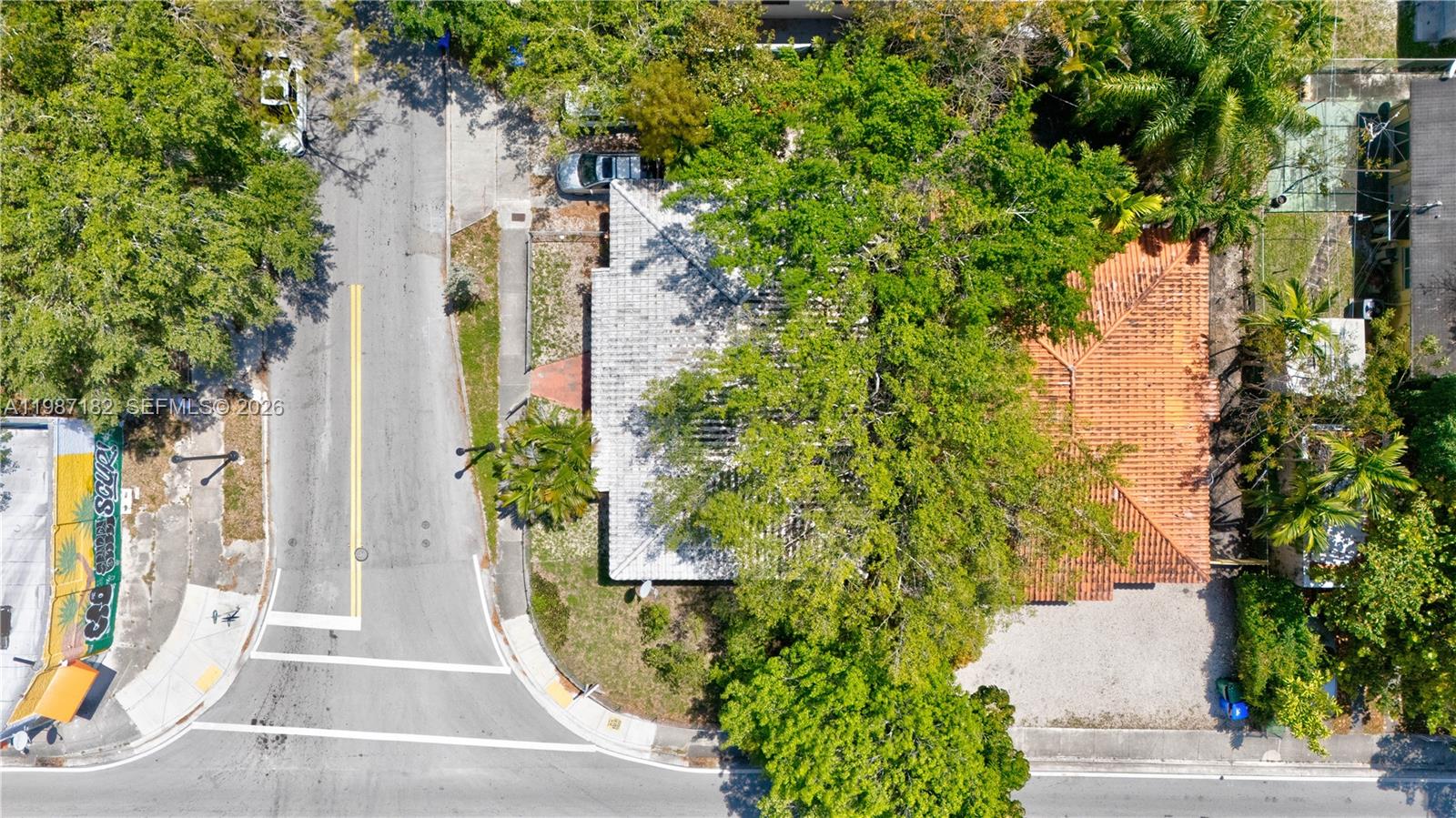 2 Northeast 45th Street Miami, FL 33137 - Photo 6 of 27 a view of a yard with plants and large trees