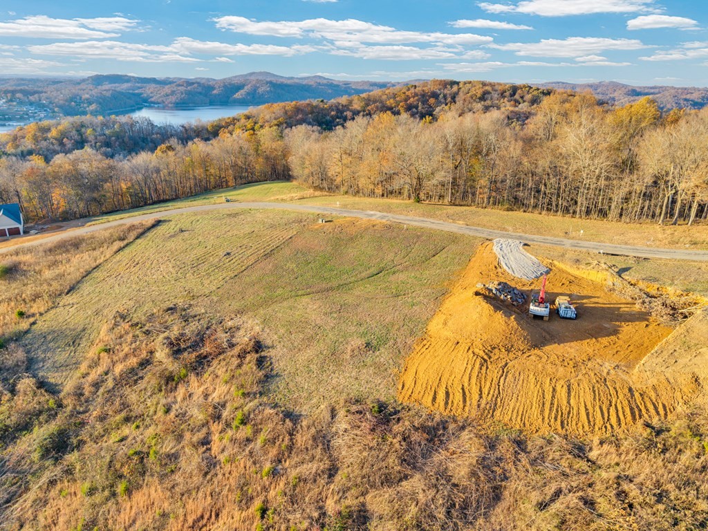 0 Bald Eagle Road Celina, TN 38551 - Photo 13 of 21