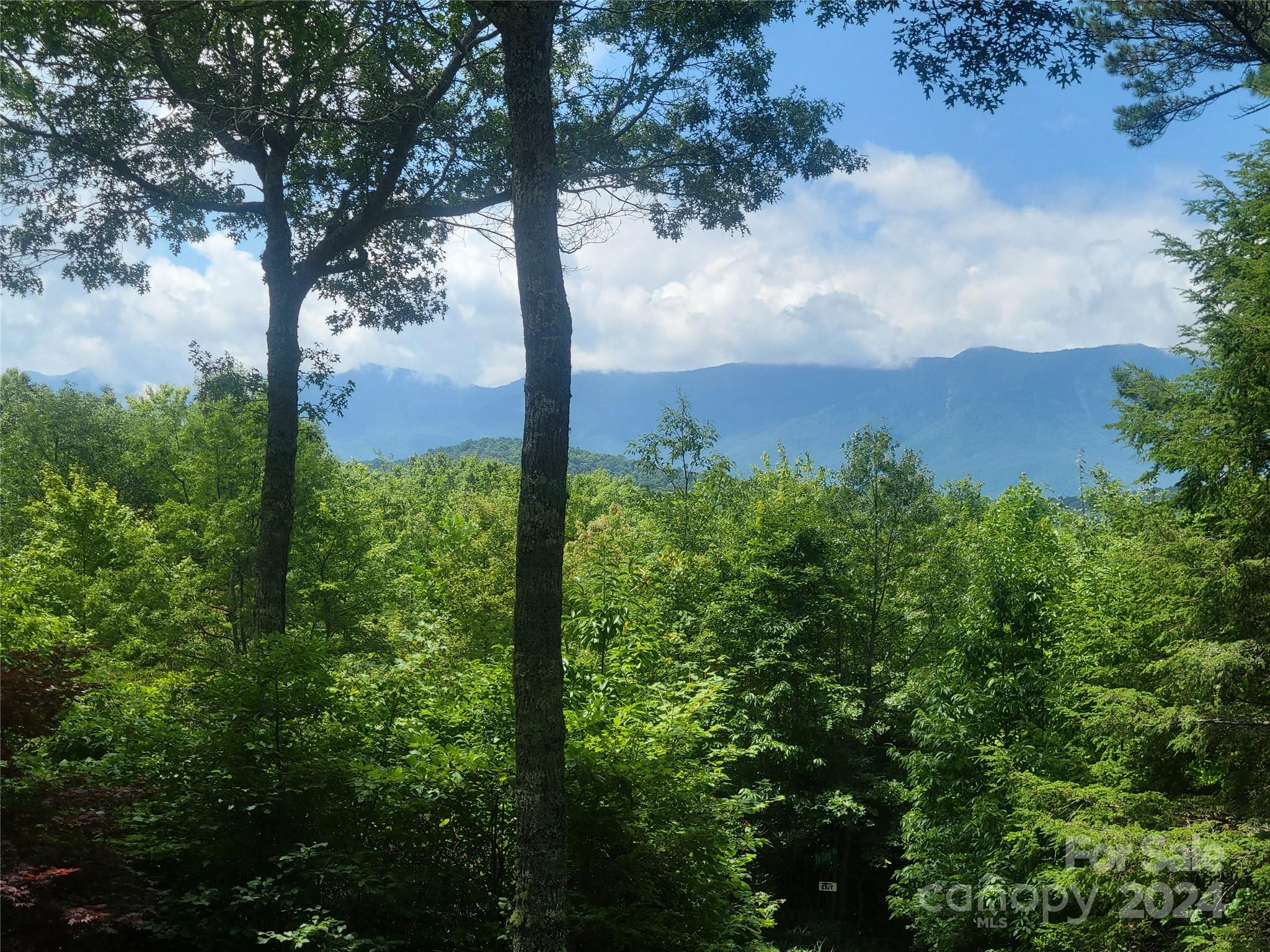 1005 Pine Tree Road Spruce Pine, NC 28777 - Photo 2 of 48 Gallery Image 2