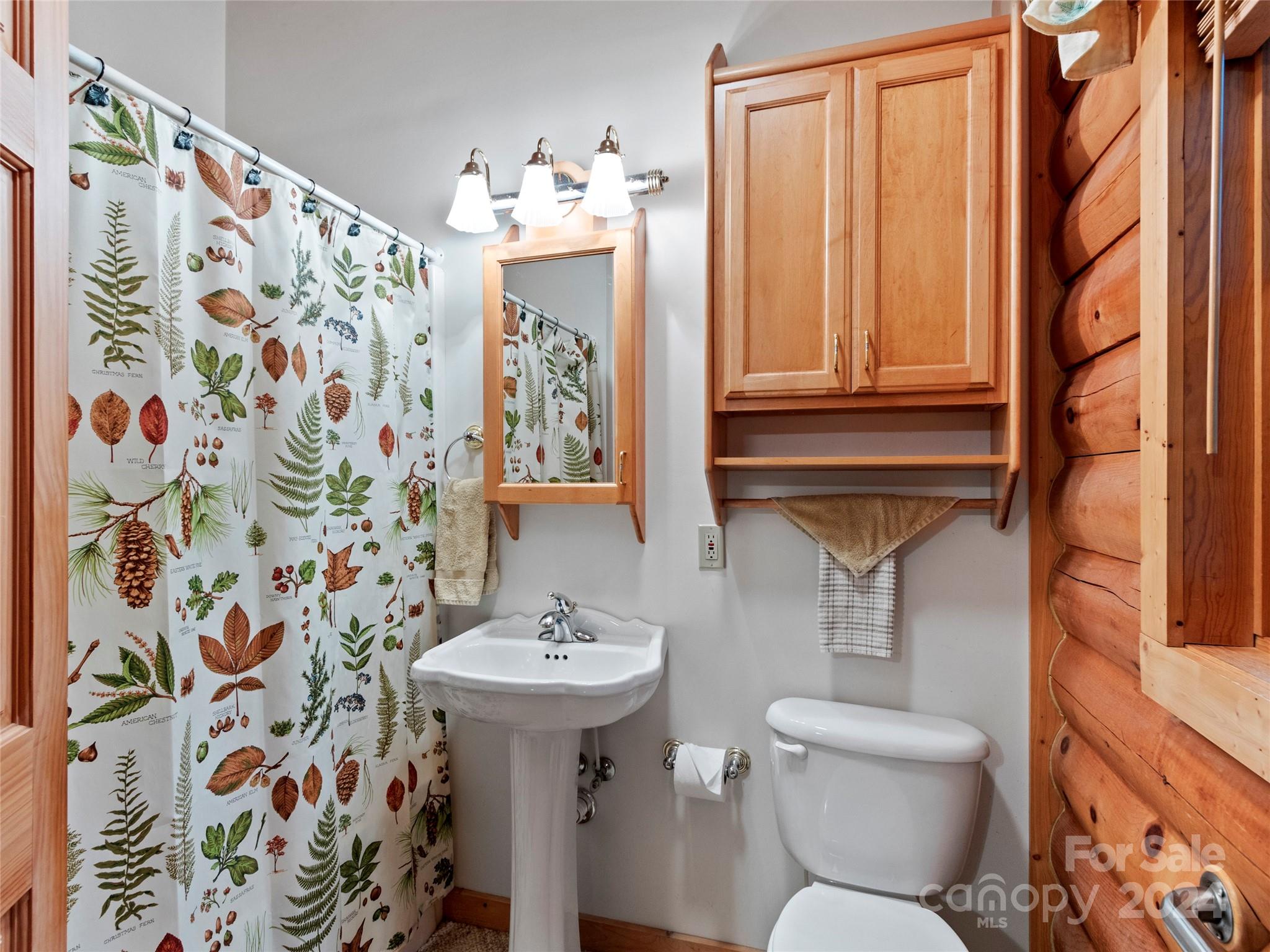 1005 Pine Tree Road Spruce Pine, NC 28777 - Photo 23 of 48 Gallery Image 23