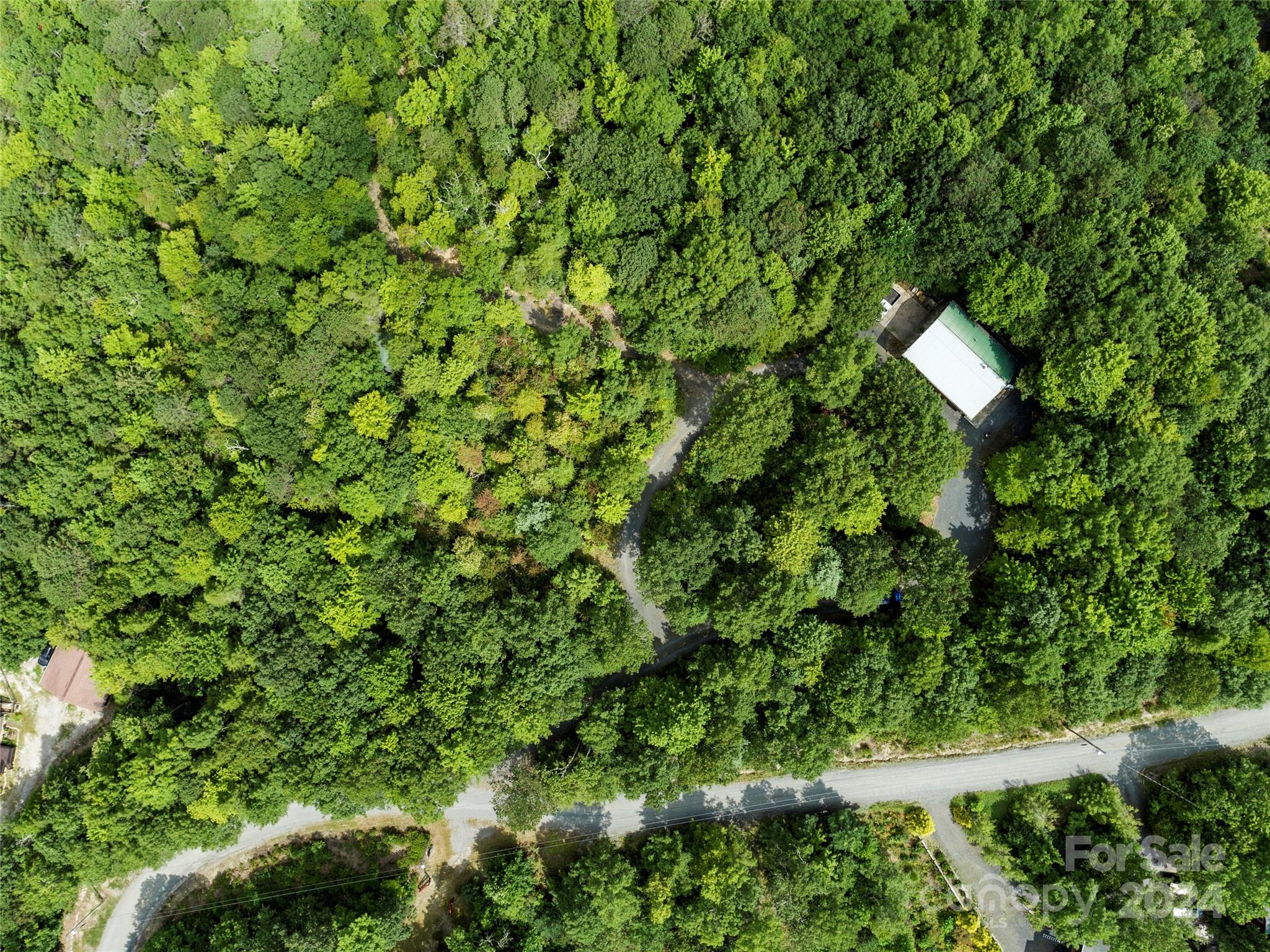 1005 Pine Tree Road Spruce Pine, NC 28777 - Photo 41 of 48 Gallery Image 41