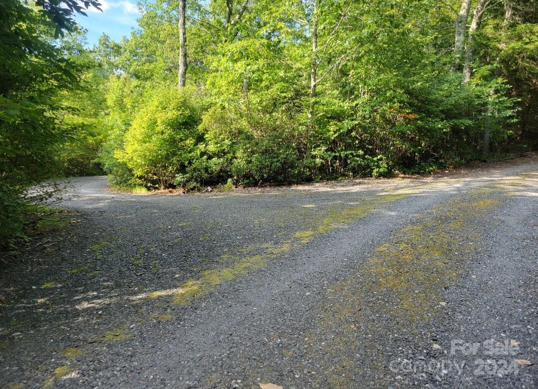 1005 Pine Tree Road Spruce Pine, NC 28777 - Photo 44 of 48 Gallery Image 44