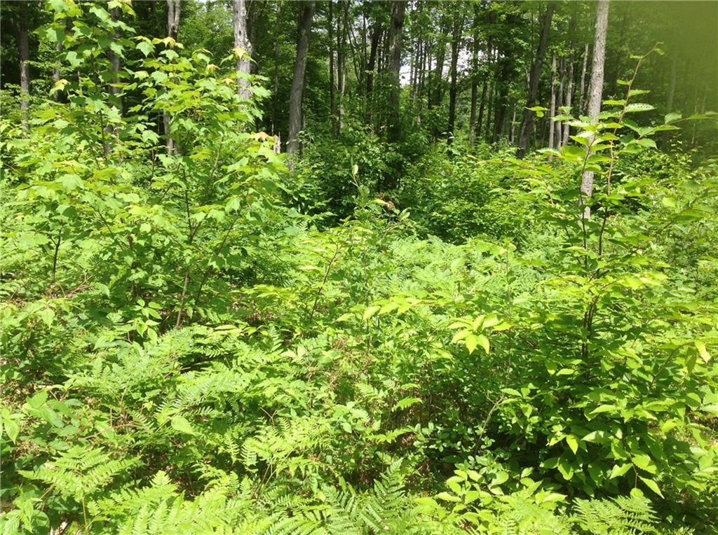 Lot 33 Main Springvale, ME 04083 - Photo 10 of 10 Photo