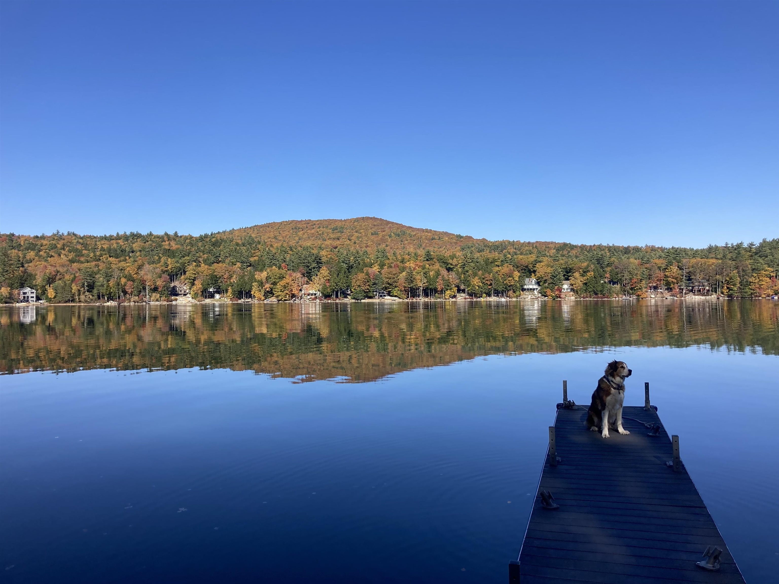 163 North Shore Road New Durham, NH 03855 - Photo 42 of 47
