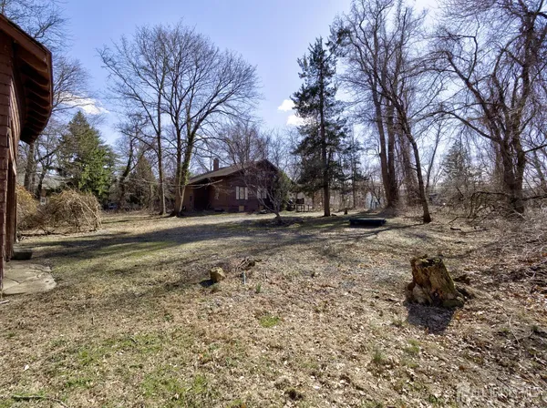 a view of dirt yard with a large tree