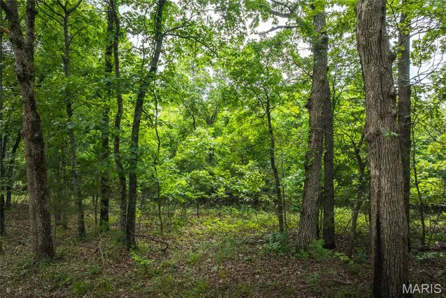 $108,000 | 4117 Baumbach Road, Cuba, MO 65453