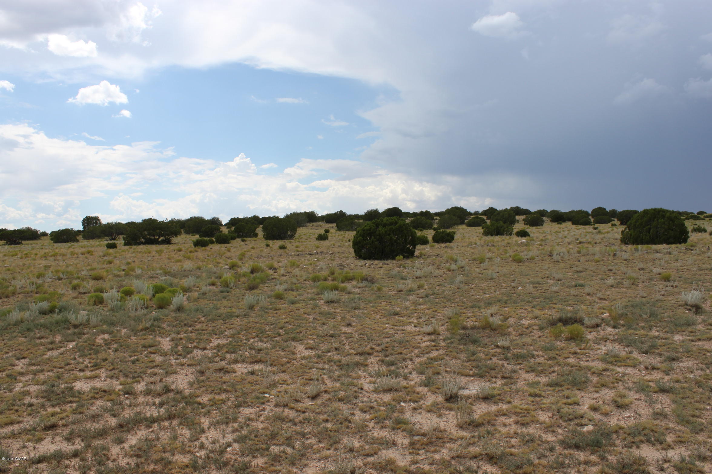 Six Ranch Concho Az 85924 Ranch Concho, AZ 85924 - Photo 1 of 20