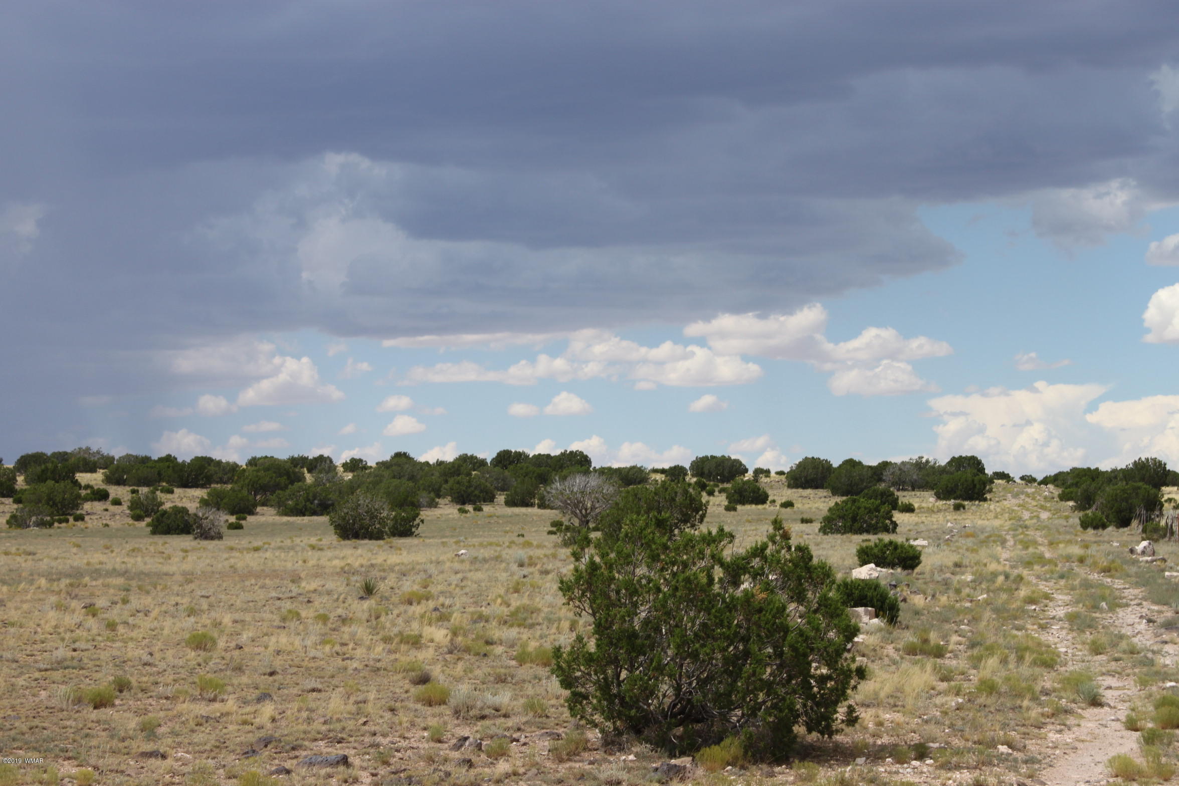 Six Ranch Concho Az 85924 Ranch Concho, AZ 85924 - Photo 12 of 20