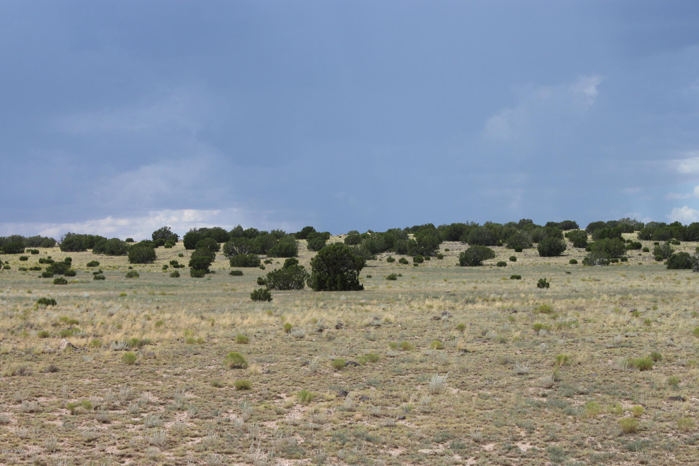Six Ranch Concho Az 85924 Ranch Concho, AZ 85924 - Photo 13 of 20