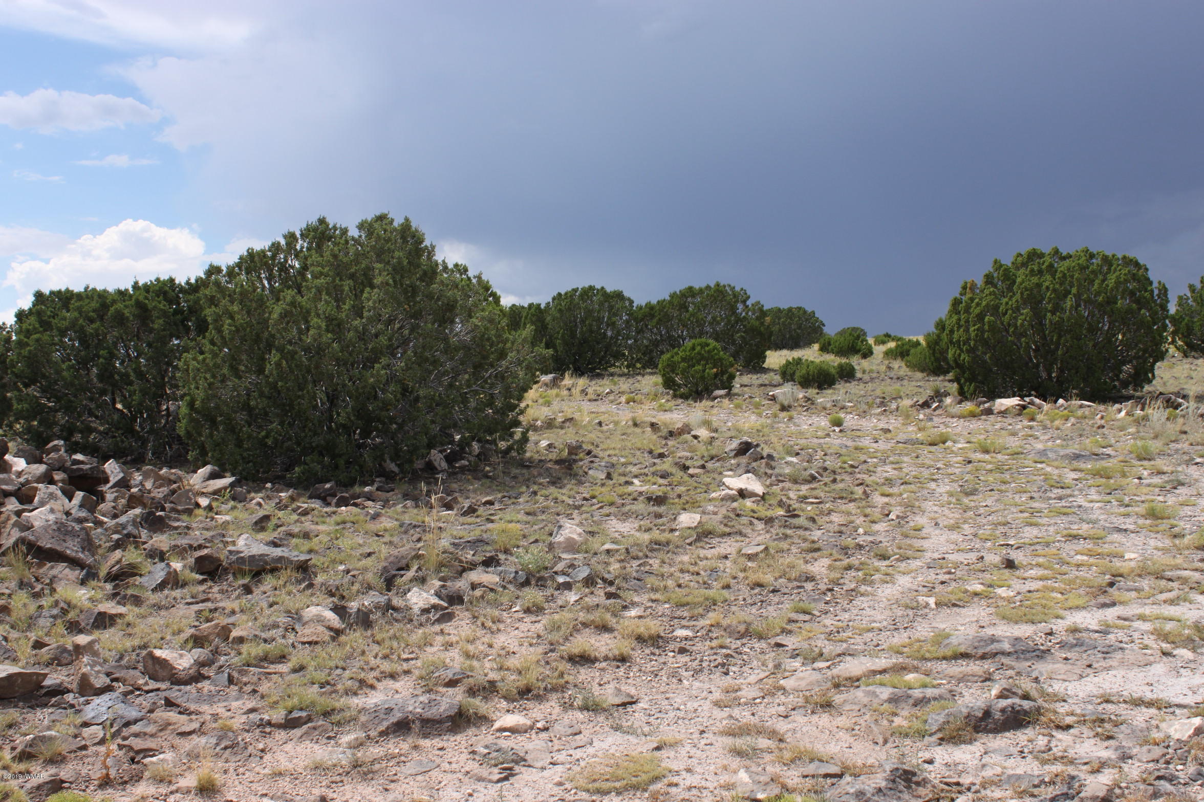 Six Ranch Concho Az 85924 Ranch Concho, AZ 85924 - Photo 14 of 20