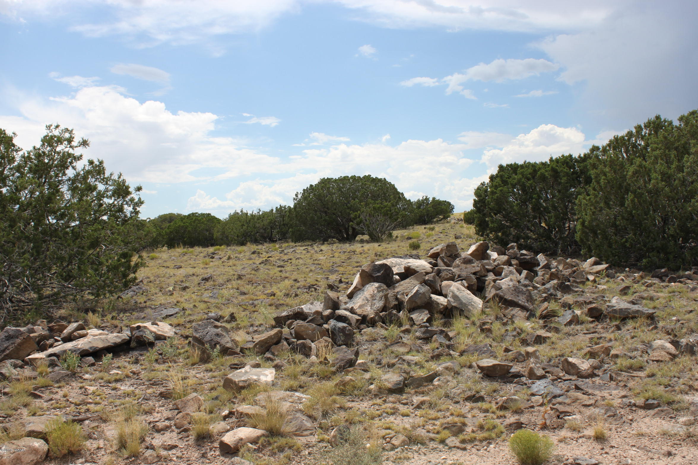 Six Ranch Concho Az 85924 Ranch Concho, AZ 85924 - Photo 15 of 20