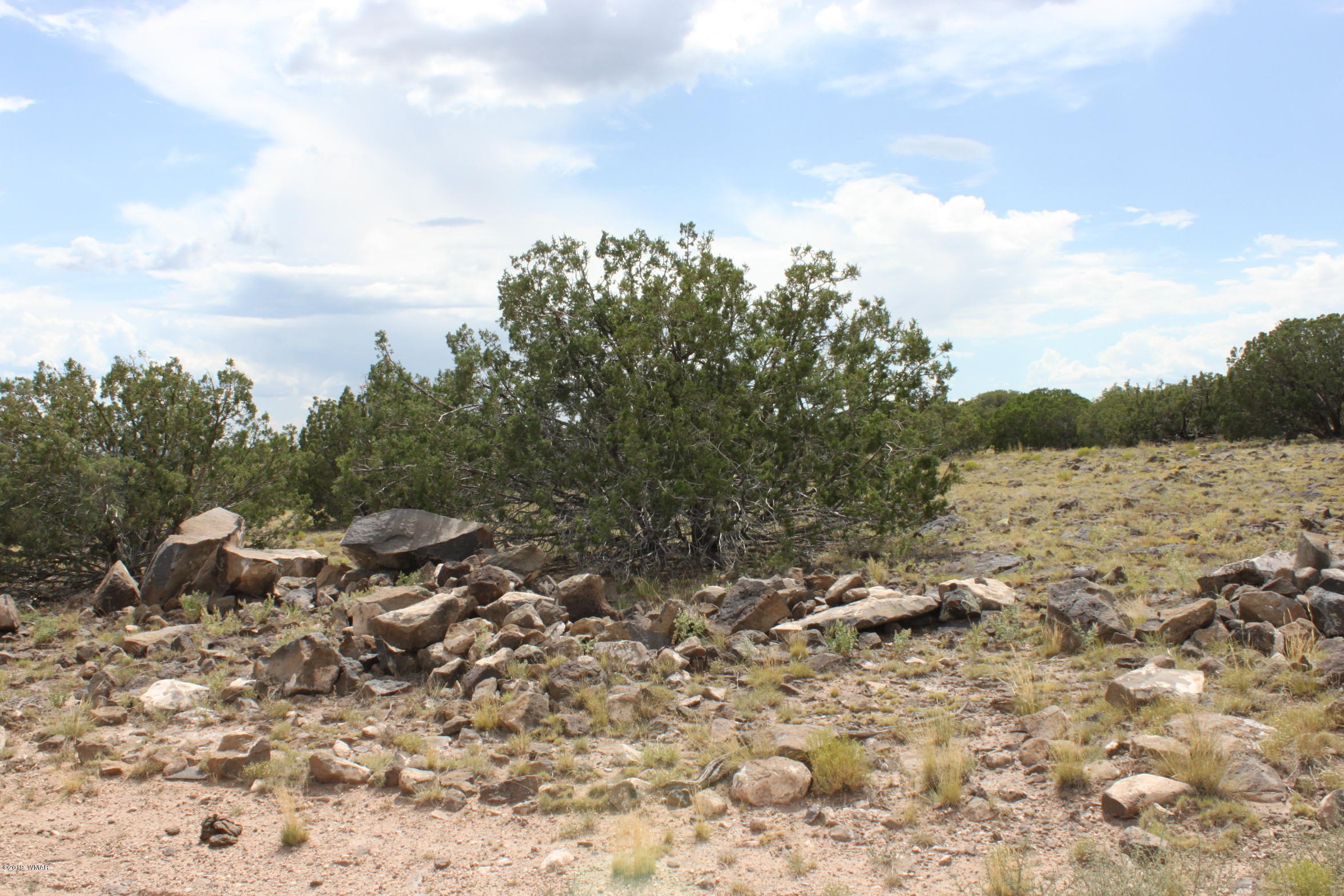 Six Ranch Concho Az 85924 Ranch Concho, AZ 85924 - Photo 16 of 20