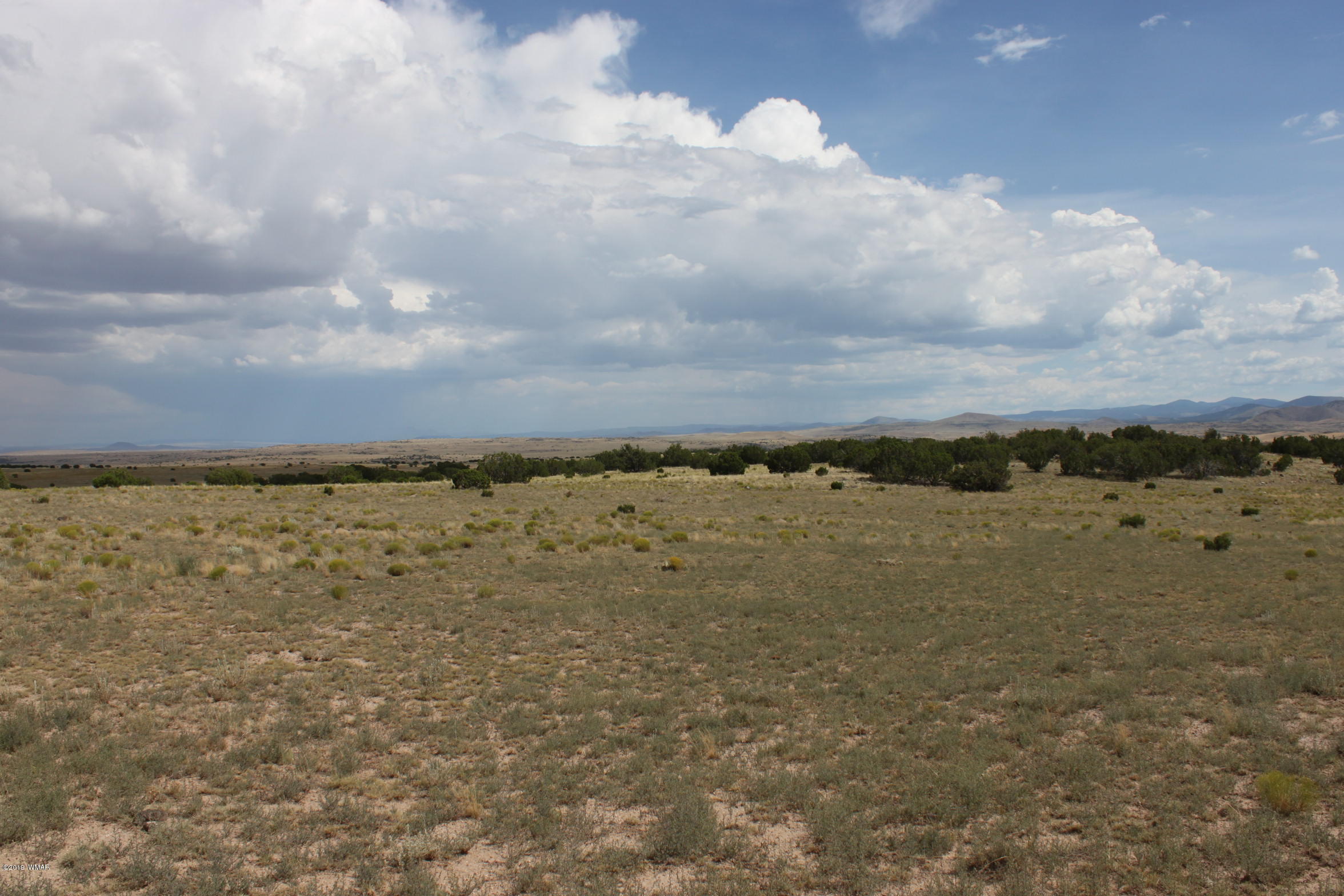 Six Ranch Concho Az 85924 Ranch Concho, AZ 85924 - Photo 17 of 20
