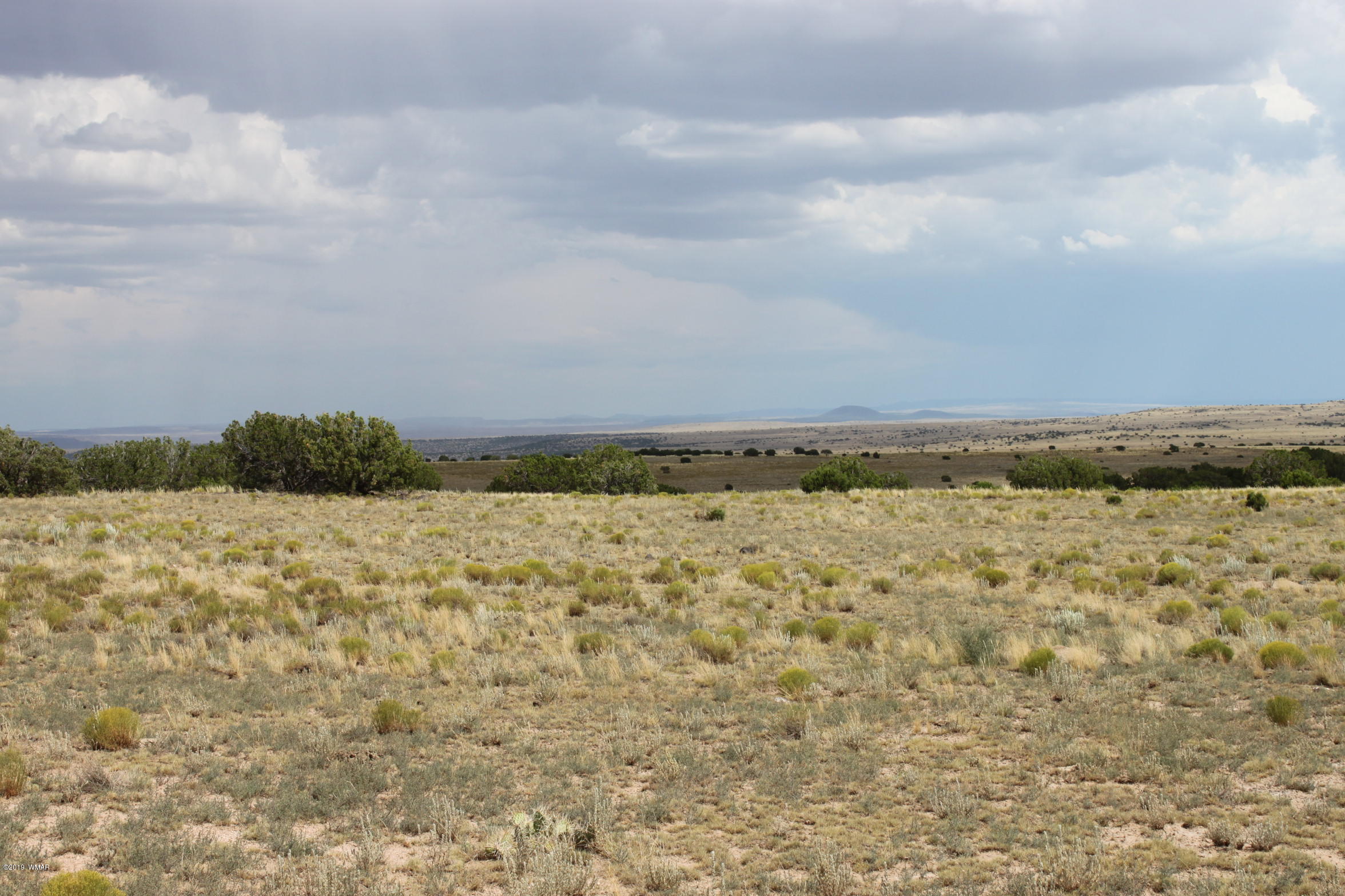 Six Ranch Concho Az 85924 Ranch Concho, AZ 85924 - Photo 18 of 20