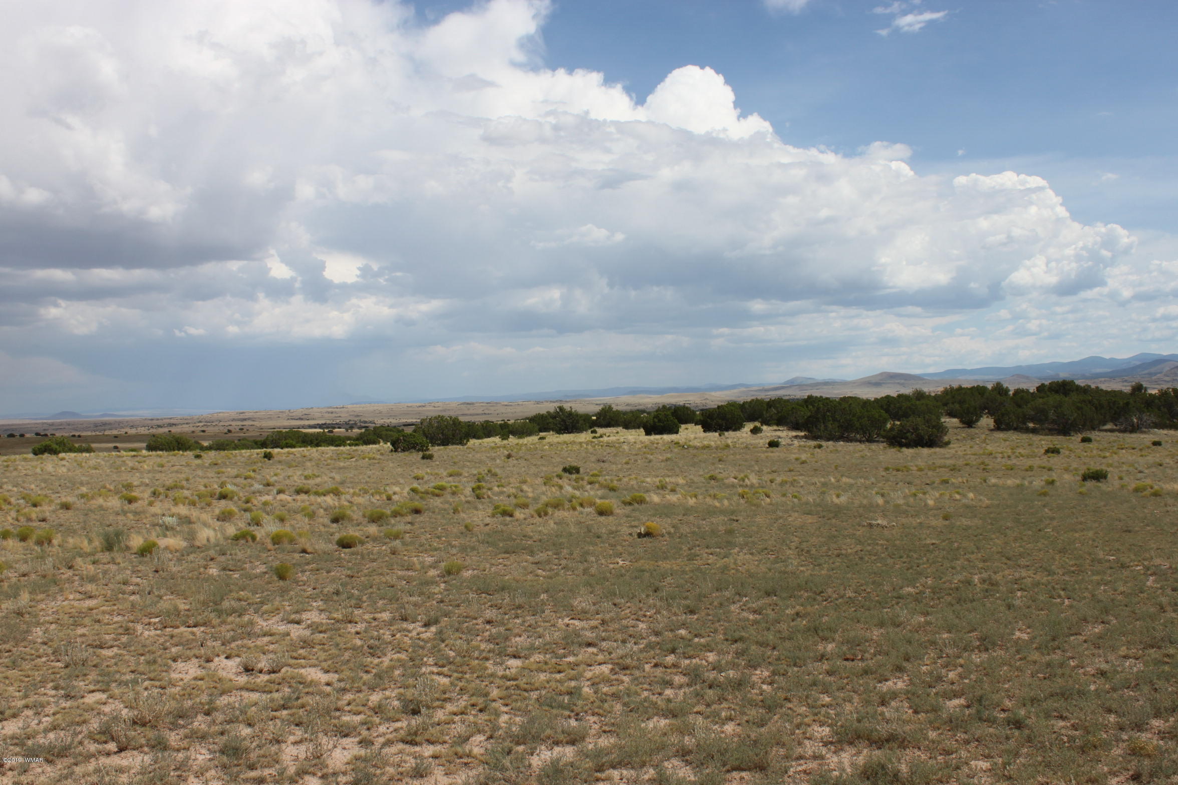 Six Ranch Concho Az 85924 Ranch Concho, AZ 85924 - Photo 19 of 20