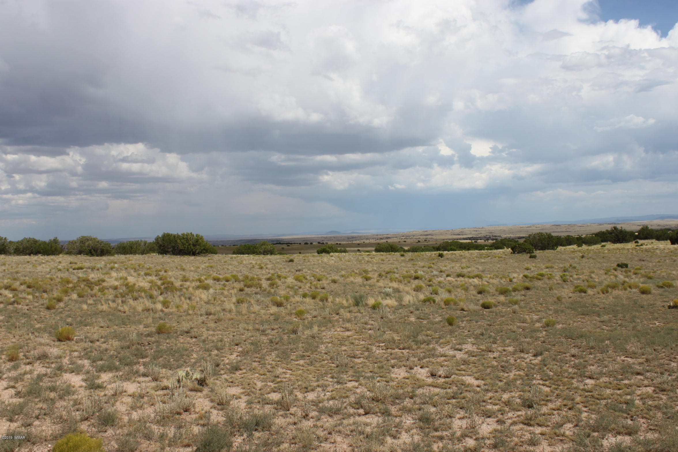 Six Ranch Concho Az 85924 Ranch Concho, AZ 85924 - Photo 20 of 20