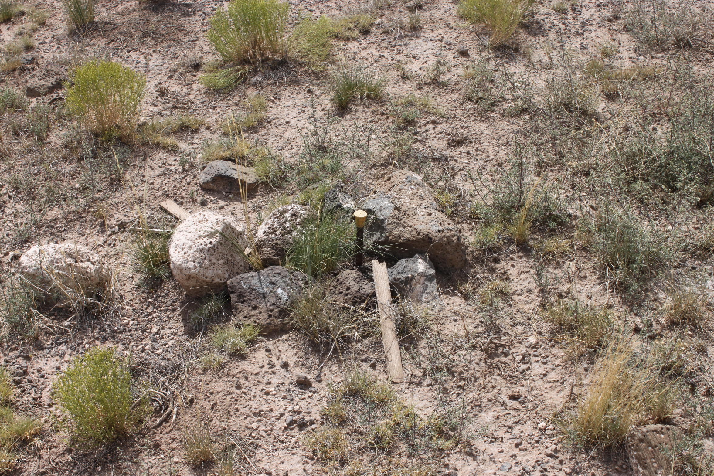 Six Ranch Concho Az 85924 Ranch Concho, AZ 85924 - Photo 5 of 20