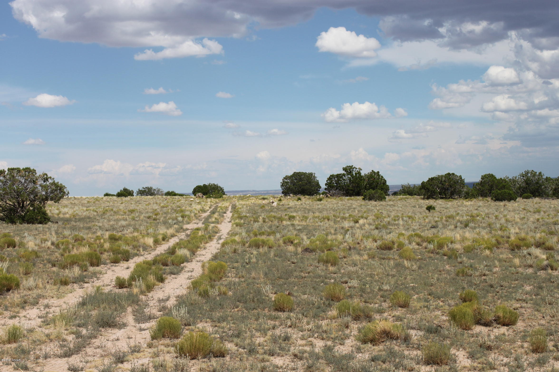 Six Ranch Concho Az 85924 Ranch Concho, AZ 85924 - Photo 6 of 20
