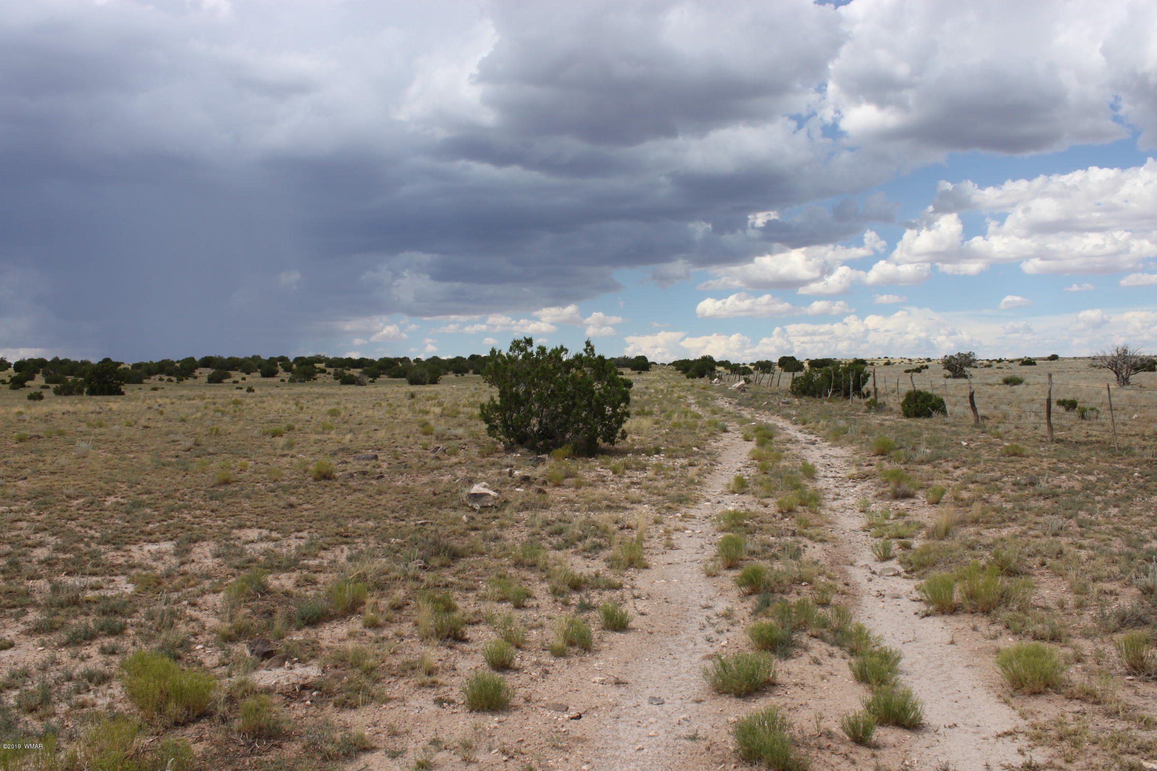 Six Ranch Concho Az 85924 Ranch Concho, AZ 85924 - Photo 8 of 20