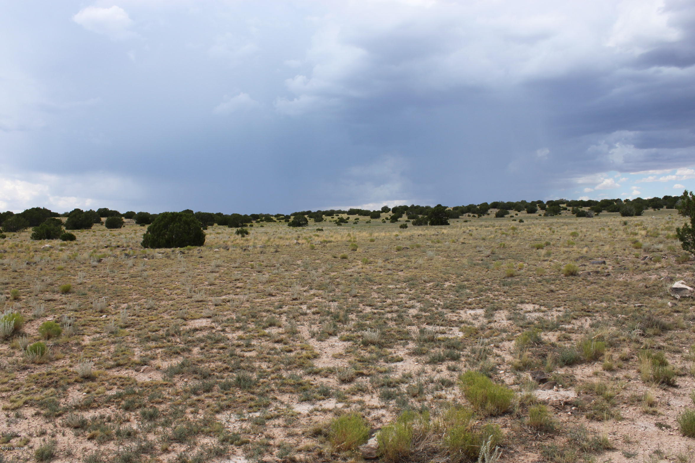 Six Ranch Concho Az 85924 Ranch Concho, AZ 85924 - Photo 9 of 20