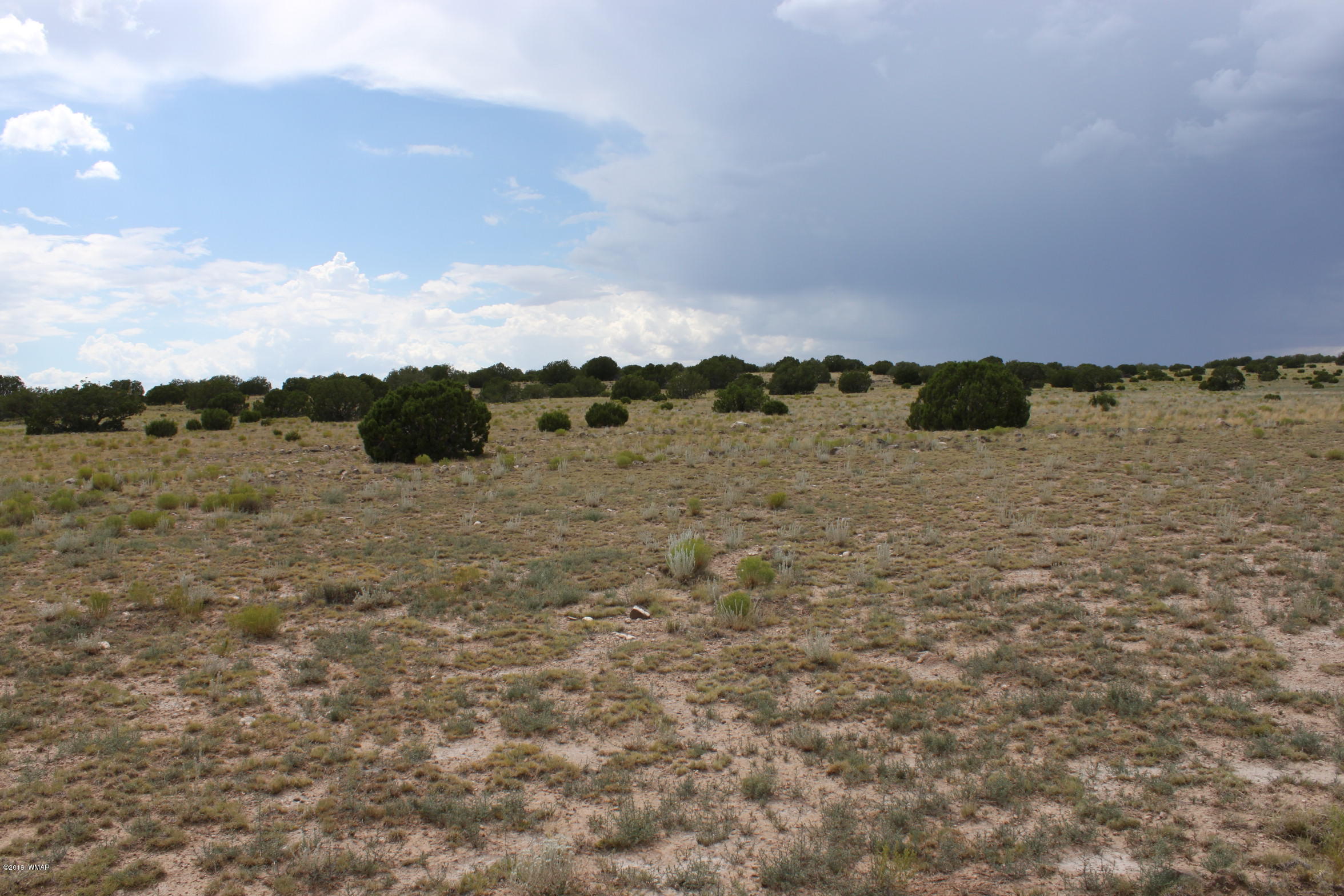 Six Ranch Concho Az 85924 Ranch Concho, AZ 85924 - Photo 10 of 20