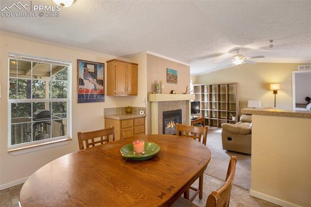 3576 Pathfinder Road Florissant, CO 80816 - Photo 19 of 44 Gallery Image 19