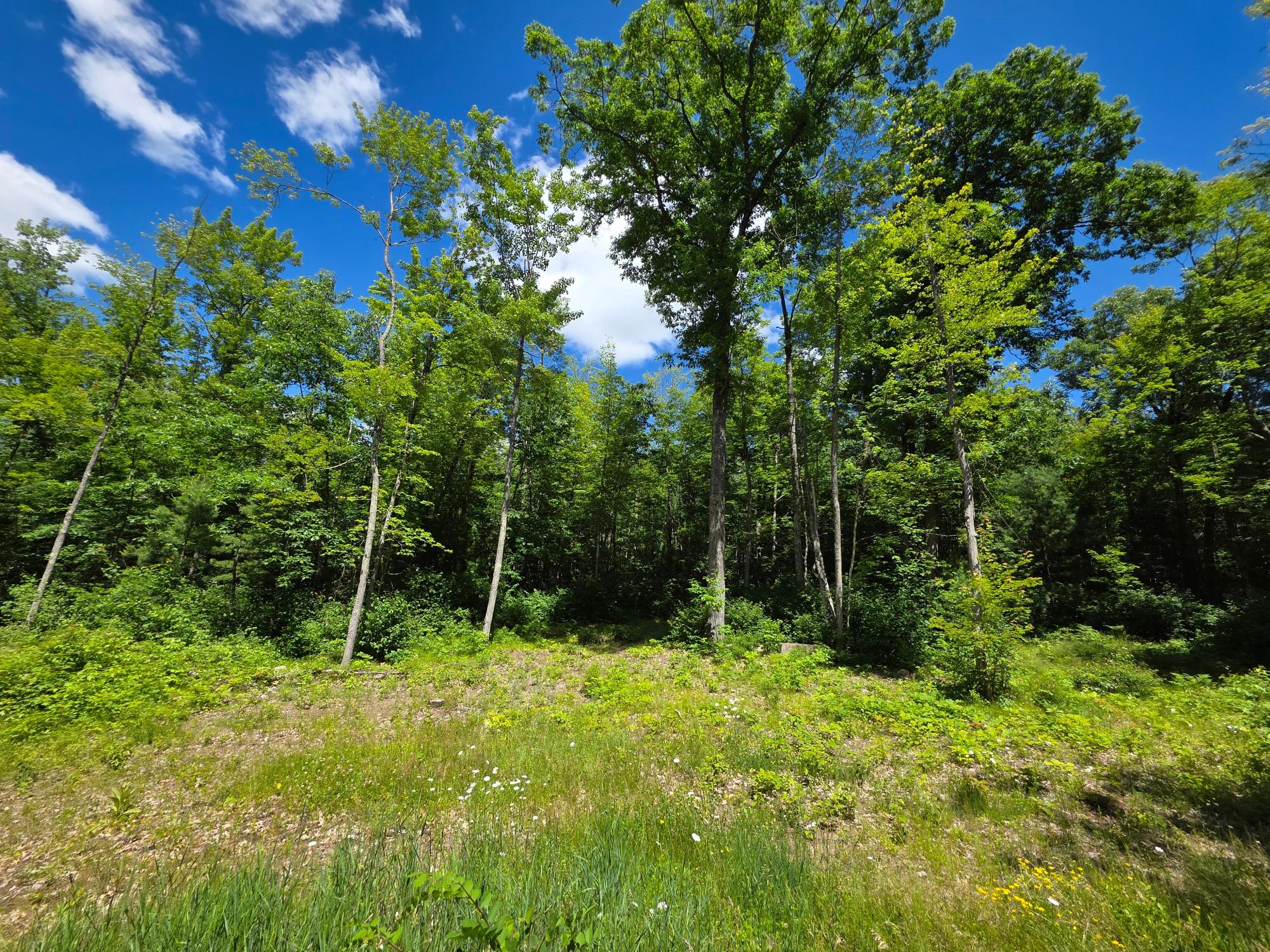 N11478 Cottage Road Tomahawk, WI 54487 - Photo 10 of 27 Gallery Image 10
